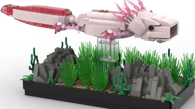 LEGO Ideas: ecco il set Axolotl