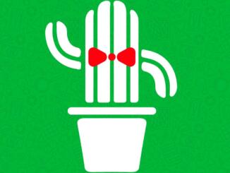 NerdGames svela nuove sigle del Cactus