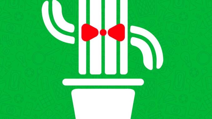 NerdGames svela nuove sigle del Cactus NerdGames svela nuove sigle del Cactus