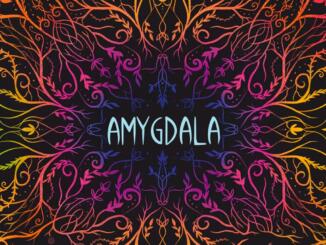 Amygdala - Recensione