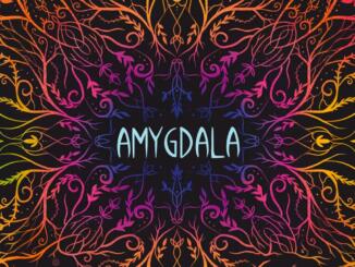 Amygdala - Recensione
